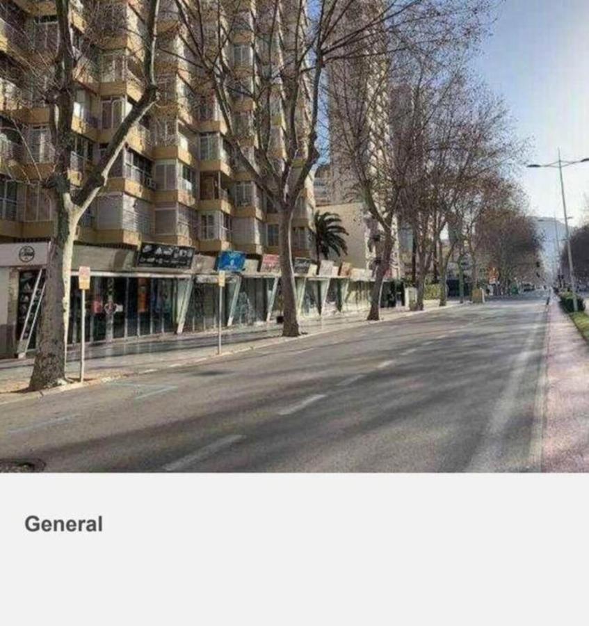 Los Caballos Vip Playa Levante Benidorm Exteriör bild